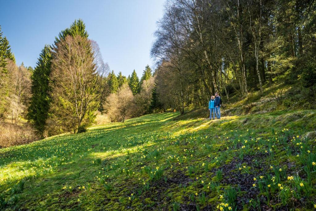 Haus Sonnentau Daire Monschau Dış mekan fotoğraf